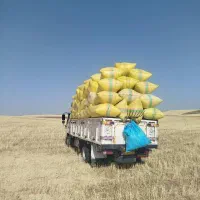 خریدو فروش کاه و یونجه