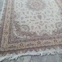 ۶ متری جفت کاملا سالم تراکم ۱۰۰۰