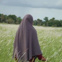 پنکه هوای (سقفی) ت و ا م