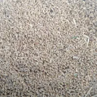 فروش گندم آبی درجه یک