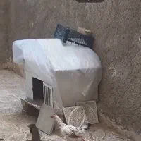 فروش کلبه