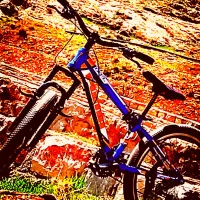دوچرخه