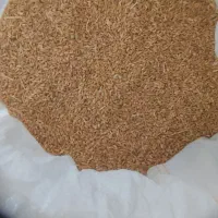 گندم|خوردنی و آشامیدنی|جهرم, |دیوار