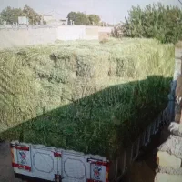 یونجه انباری