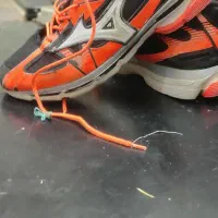 کفش والیبال میزانو