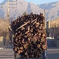 خرید وفروش چوب|خدمات باغبانی و درختکاری|یزد, |دیوار