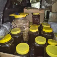 عسل طبیعی  روغن زرد گوسفندی|خوردنی و آشامیدنی|مشهد, جلالیه|دیوار