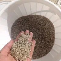 شن آکواریوم عربی|ماهی|کرمان, |دیوار