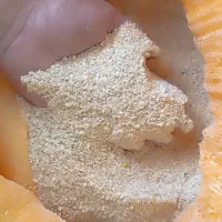 دونه بلدرچین تخم گذار