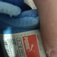 کفش پوما اورجینال|کیف، کفش، کمربند|شهریار, شهریار|دیوار