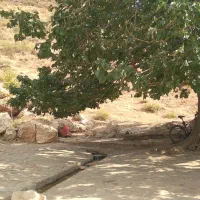 زمین۱۲۴۰ مترکاربری باغ ویلاآب وهوای بهترازشهمیرزاد|فروش زمین و ملک کلنگی|مهدی شهر, |دیوار
