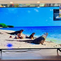 تلویزیون کیفیت 4k