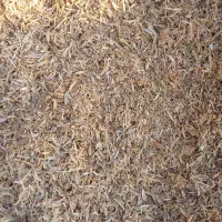 فروش کاه نخود