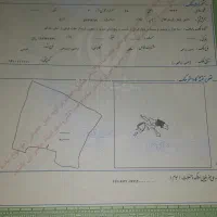 فروش-زمین-کشاورزی-دیم