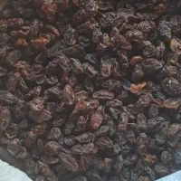 مویز کشمش|خوردنی و آشامیدنی|بیضا, |دیوار