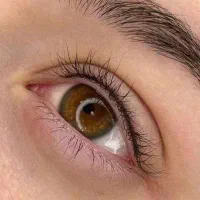 کاور تاتو قدیمی، شیدینگ لب، قاب، سایه، بن مژه|خدمات آرایشگری و زیبایی|ایذه, |دیوار