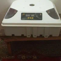 دستگاه جوجه کشی