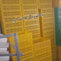سبد لبنیات، ماستی،