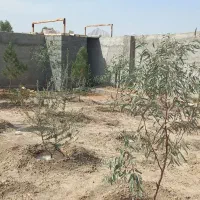 فروش-باغ-معاوضه-با-ماشین