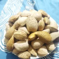 بادام شیرین درجه یک درشت وپرمغزباضمانت