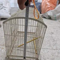 قفس|لوازم جانبی حیوانات|یزد, |دیوار