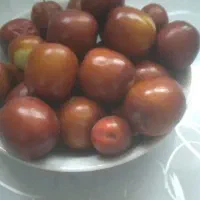 عناب تازه و ترد و خوشمزه