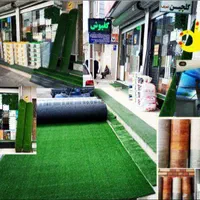 چمن مصنوعی|مصالح و تجهیزات ساختمان|تاکستان, |دیوار