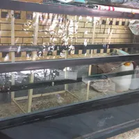 فروش ویترین مغازه