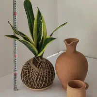 گل طبیعی کوکداما