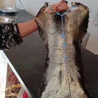 هیزه پوست بزغاله|صنایع دستی و سایر لوازم تزئینی|هندمینی, |دیوار