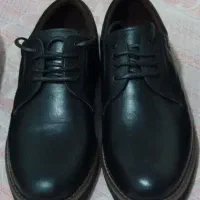 کفش چرم اصل (طبیعی)مردانه