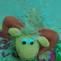 عروسک قوچ...