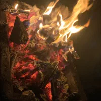 کارگاه-تولیدی