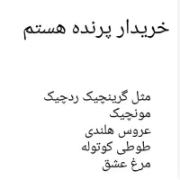 خ ر ی د ا ر پرنده زینتی  هستم