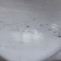 کپسولsnjپراید تک و دوقلو 2037|قطعات یدکی و لوازم جانبی|قم, چهل درخت‎|دیوار