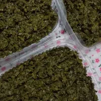 برگ سیر خورد شده، تفت داده ، سبزی سرخ شده محلی و