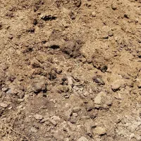 کود حیوانی|خدمات باغبانی و درختکاری|بندر ماهشهر, |دیوار