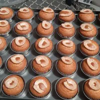 کارگر ساده خانم وآقاجهت کار در تولیدی کیک