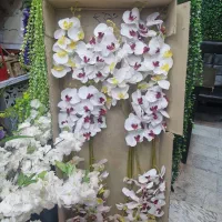 ارکیده مصنوعی