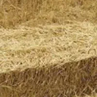 پرس جو فروشی