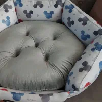 جای خواب گربه و سگ