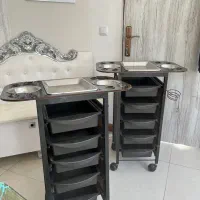 دو عدد ترولی