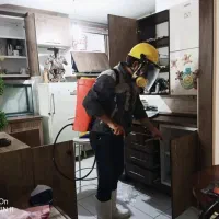 سمپاشی تخصصی سم پاشی سوسک ساس موریانه/با ضمانت|خدمات نظافت|اهواز, کمپلو شمالی|دیوار