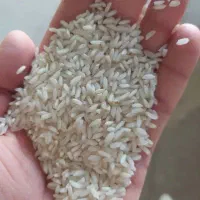 برنج عنبر شوشتر