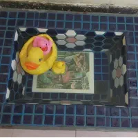 حوضچه