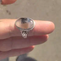 انگشتر شجر کلکسیونی