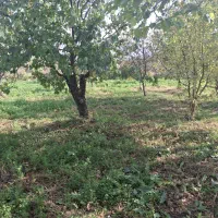 باغ در کنار رود ارس روستای  مارازاد|فروش زمین و ملک کلنگی|جلفا, |دیوار