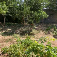 فروش باغچه ۷۰۰ و ۱۴۰۰ متری چهاردیواری ،اسلامشهر|فروش دفتر صنعتی، کشاورزی، تجاری|بهارستان, |دیوار