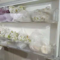 یخچال عریض LGال جی|یخچال و فریزر|پاکدشت, حصار امیر|دیوار