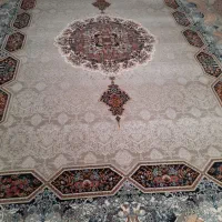 فرش|فرش|تربتحیدریه, داروپخش|دیوار